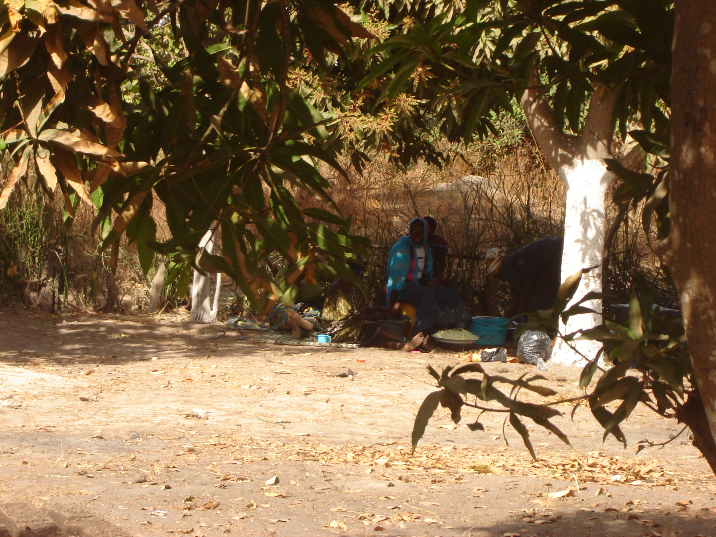 2007